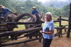 Kathy Swanson standing near a fence, feeding two young elephants on the opposite side