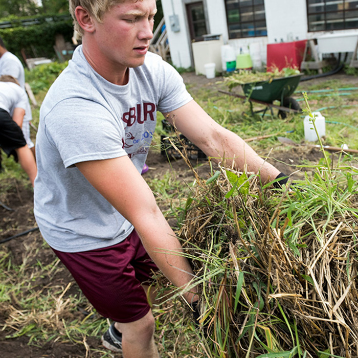 City Service Day Student Working