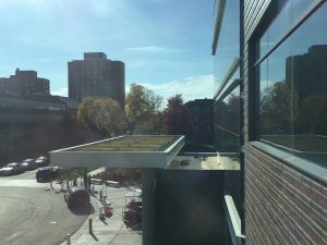 Green roof on canopy over the main entrance. 