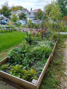 garden boxes